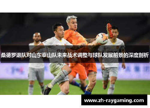 桑德罗退队对山东泰山队未来战术调整与球队发展前景的深度剖析